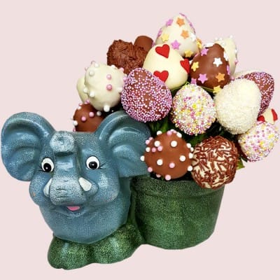  Happy Elephant Strawberry Bouquet