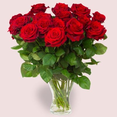 Red Roses Bouquet 