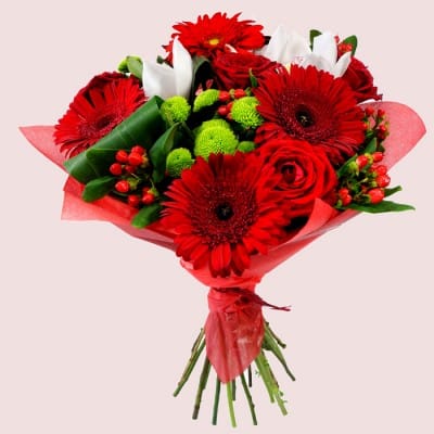 Stunning Red Flowers